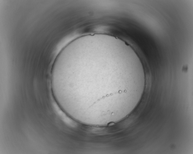 X0000113871439200910151250