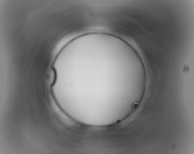 X0000113871440200910151250