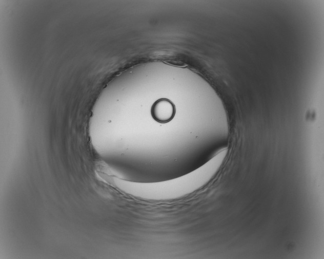 X0000113871441200910151249