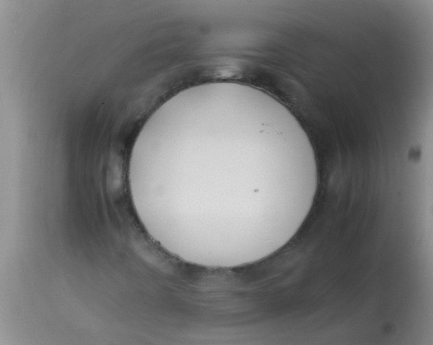 X0000113871442200910151249