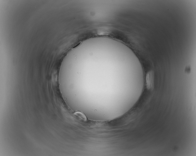 X0000113871443200910151249