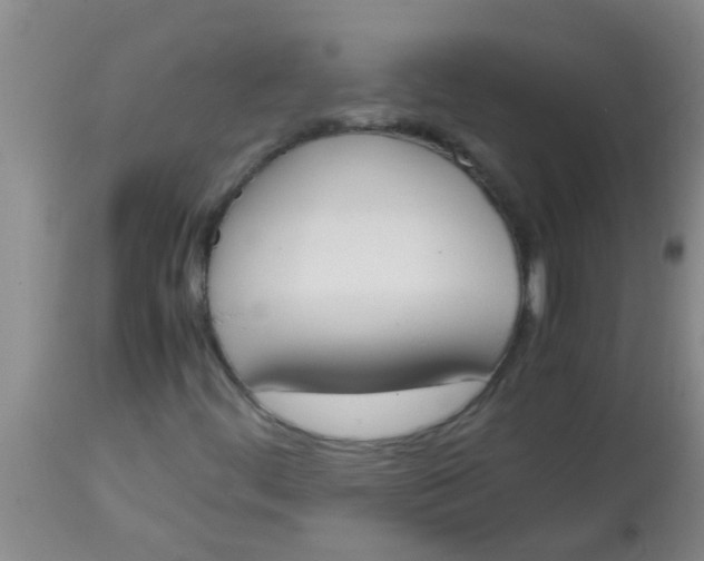 X0000113871444200910151249