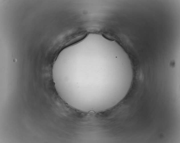 X0000113871445200910151249