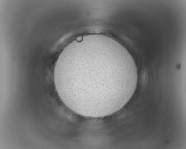 X0000113871446200910151249