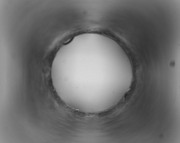 X0000113871447200910151249