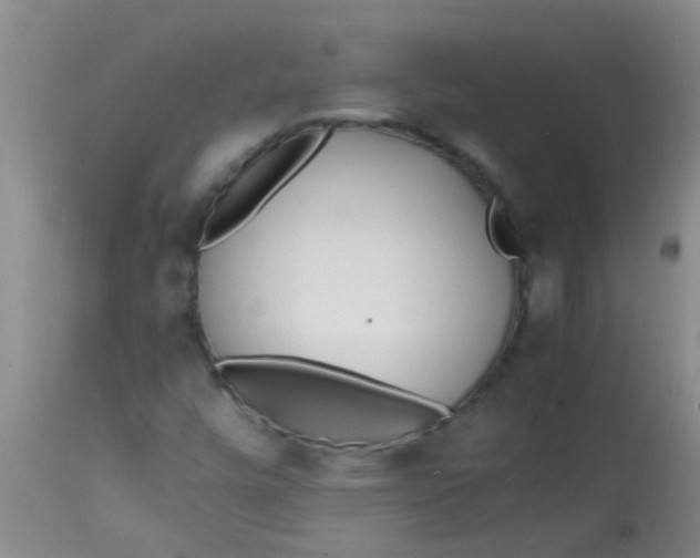 X0000113871448200910151249