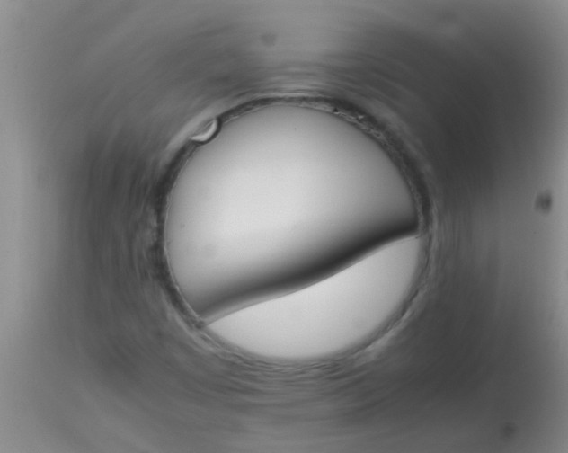 X0000113871449200910151249