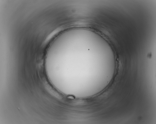 X0000113871450200910151249