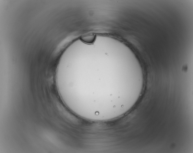 X0000113871451200910151249