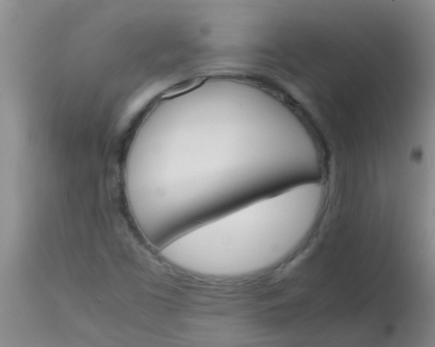 X0000113871453200910151249