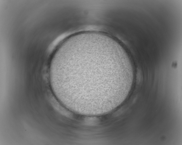 X0000113871454200910151249