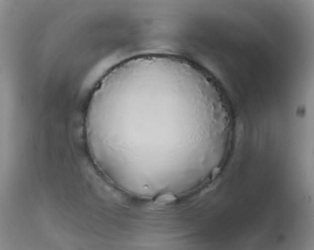 X0000113871455200910151249