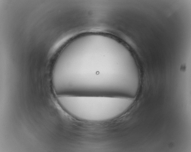 X0000113871456200910151249