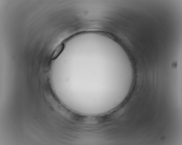 X0000113871457200910151249