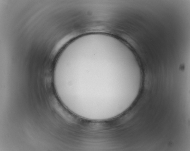 X0000113871458200910151249