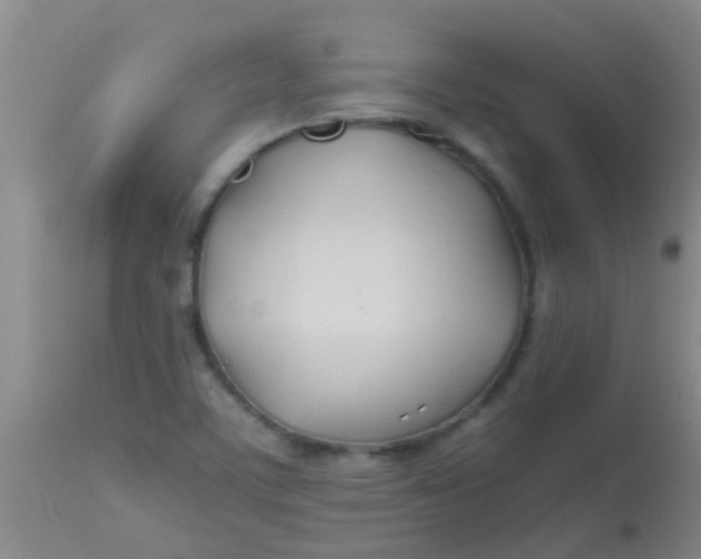 X0000113871459200910151249