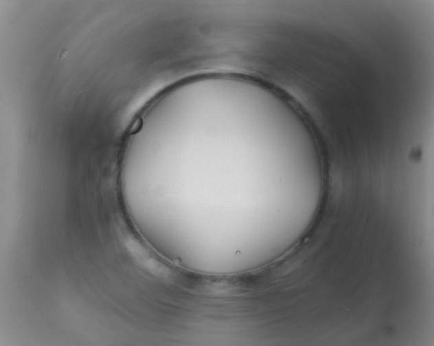 X0000113871460200910151249