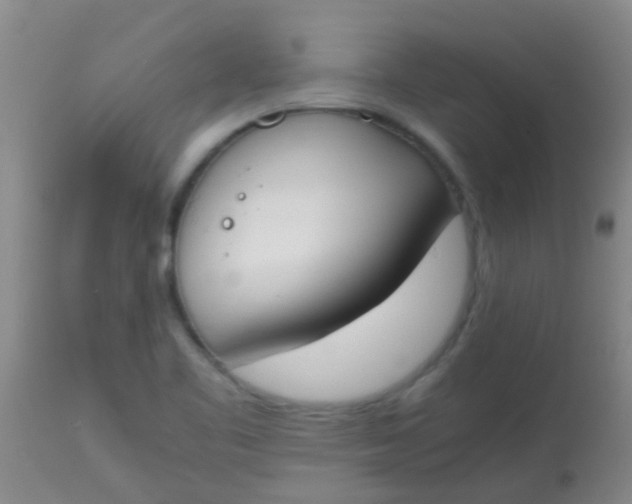 X0000113871461200910151249