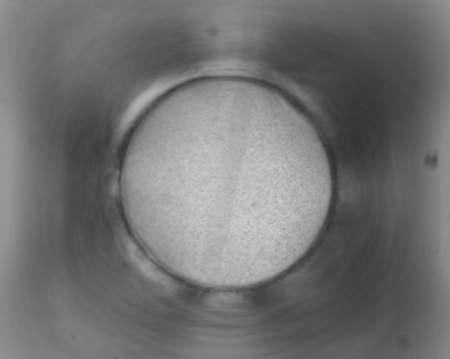 X0000113871462200910151249