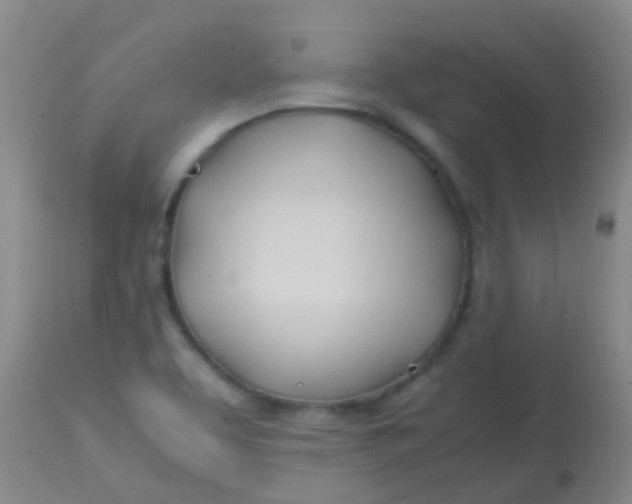 X0000113871463200910151249