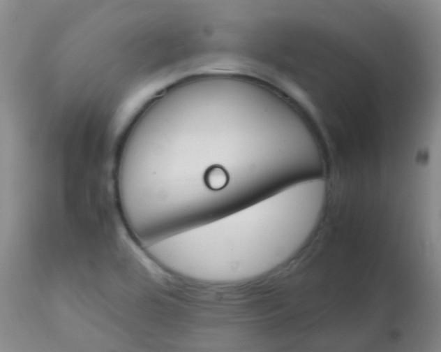 X0000113871464200910151249