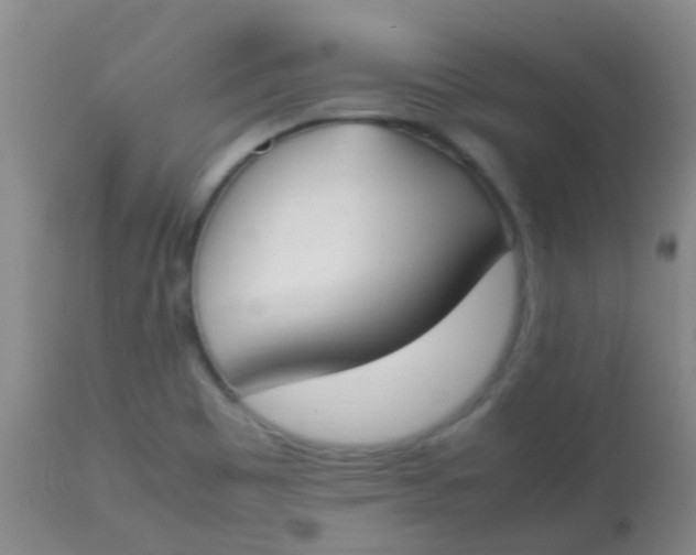 X0000113871465200910151249