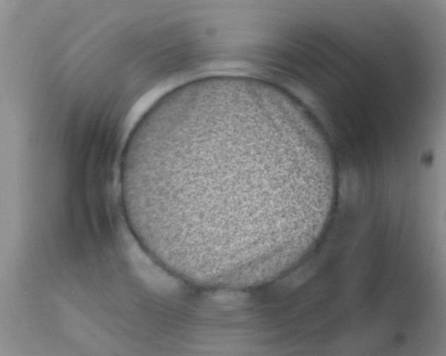 X0000113871466200910151249