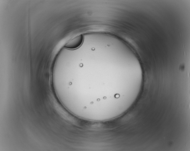 X0000113871467200910151249