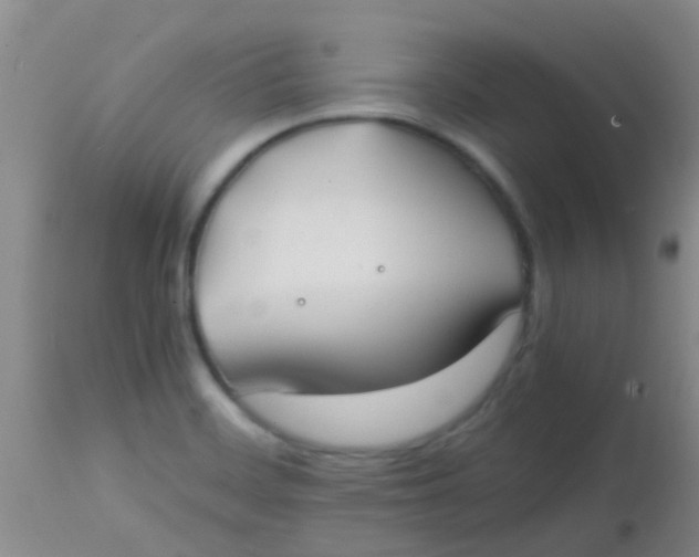 X0000113871468200910151249