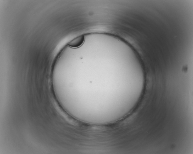 X0000113871469200910151248