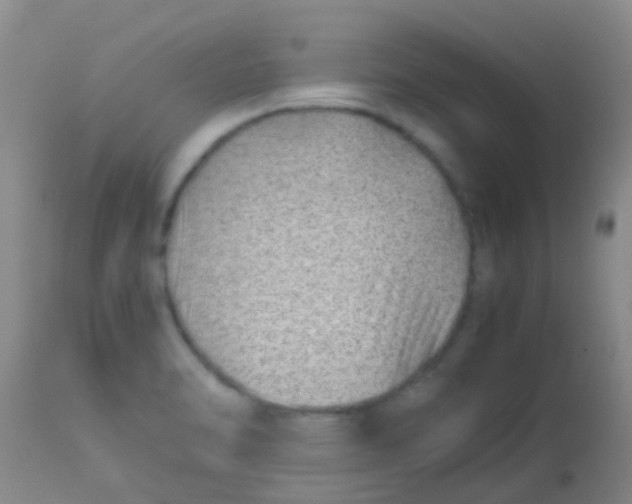 X0000113871470200910151248