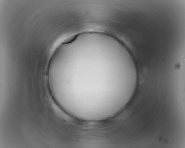 X0000113871471200910151248