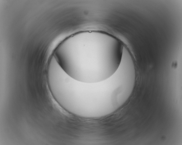 X0000113871472200910151248