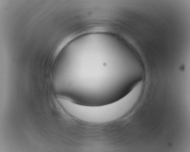 X0000113871473200910151248