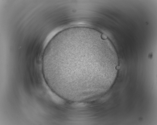 X0000113871474200910151248