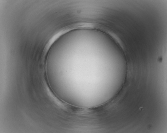 X0000113871475200910151248