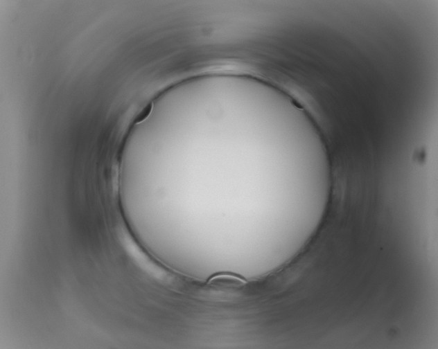 X0000113871476200910151248