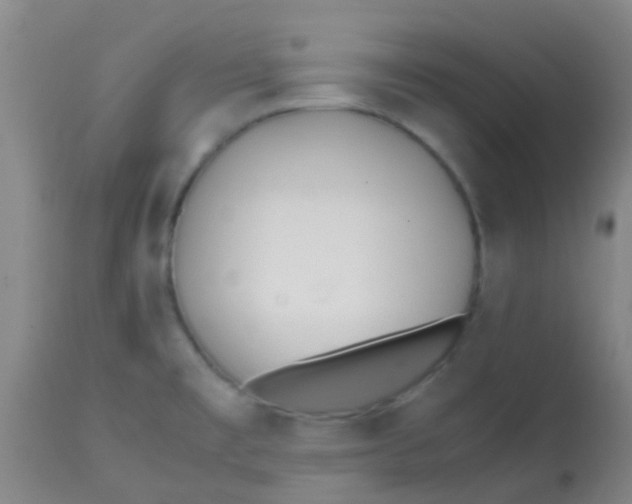 X0000113871477200910151248