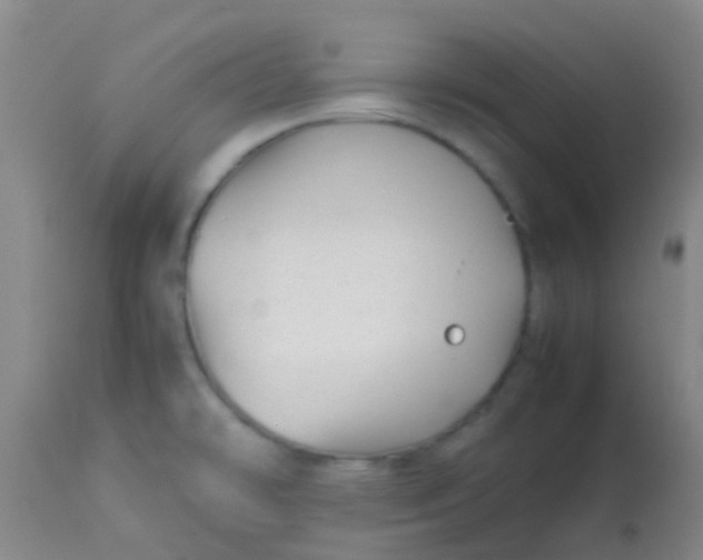 X0000113871478200910151248