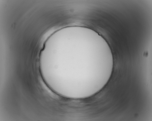 X0000113871479200910151248