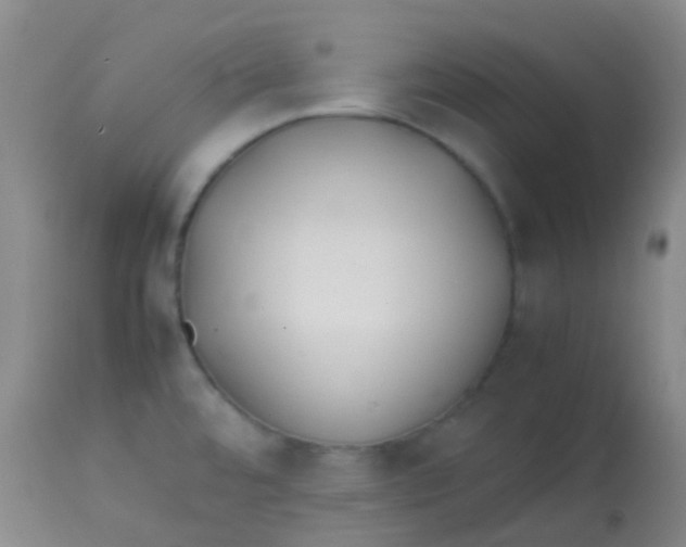 X0000113871480200910151248