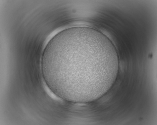 X0000113871482200910151248