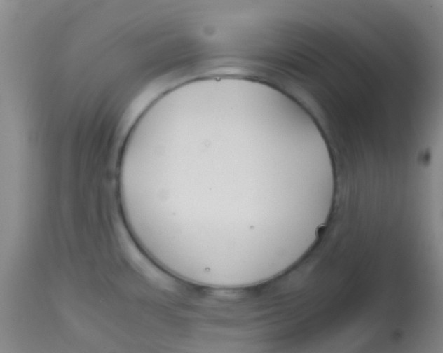 X0000113871483200910151248