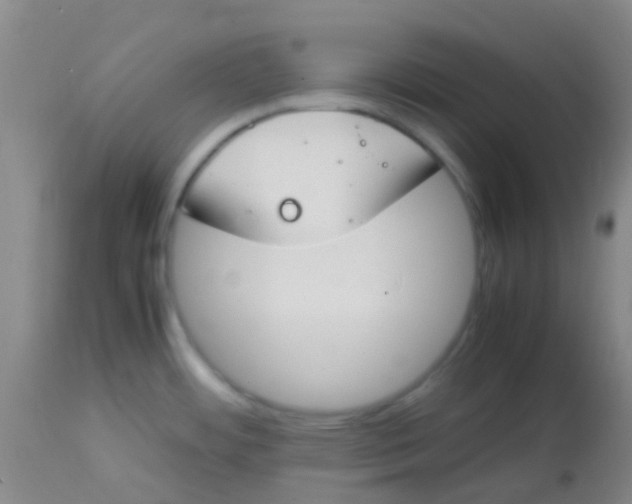 X0000113871484200910151248