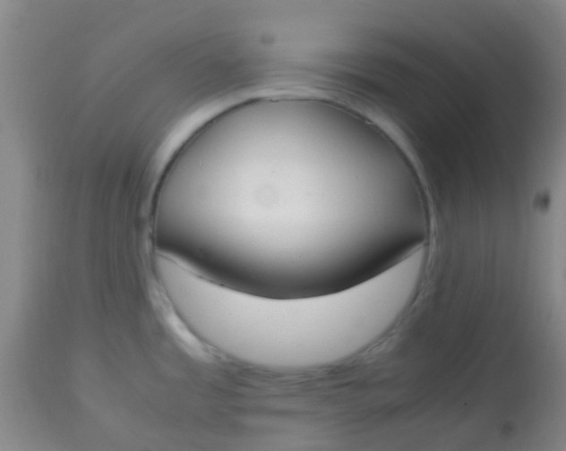 X0000113871485200910151248