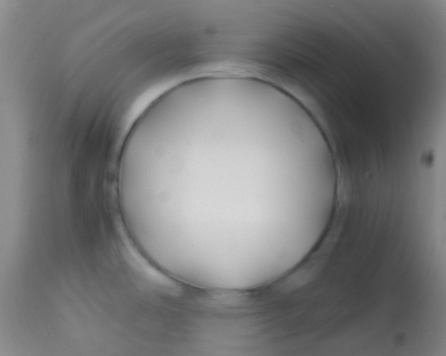 X0000113871486200910151248