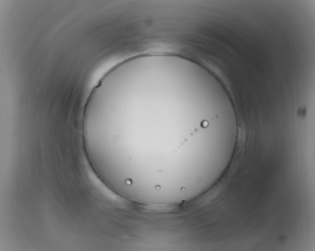 X0000113871487200910151248