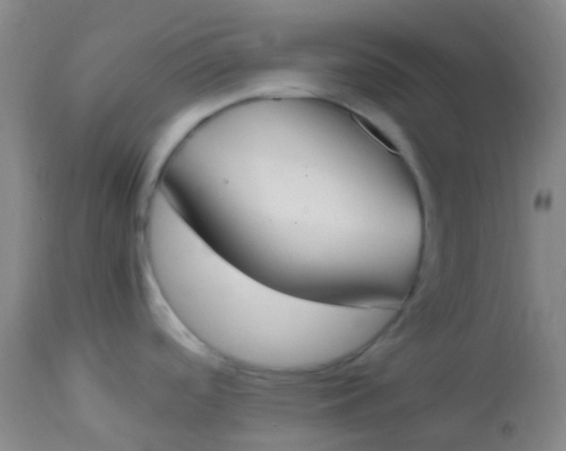 X0000113871488200910151248