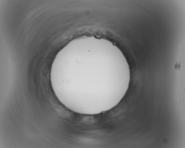 X0000113871489200910151247