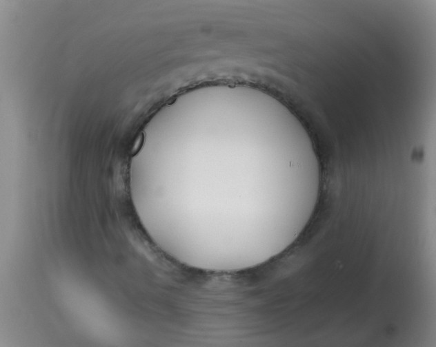 X0000113871490200910151247